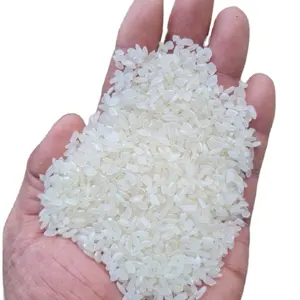 0.69 $/kg Calrose Sushi Bán Buôn Bán Lẻ Việt Nam Jasmine Rice Giá Rẻ Giá Cao Cấp Trong Mekong Delta Mẫu Miễn Phí Mr.Tony + 84938726924