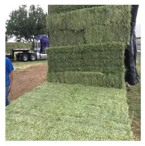 Servicio de empaquetado personalizado de heno de alfalfa para compradores al por mayor, distribuidores y marcas de alimentos para animales OEM con tamaños de pacas flexibles - Product Image 2