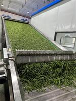Secador Continuo de Malla para Frutas, Hierbas y Vegetales de Alta Capacidad, Precio de Fábrica Económico, Calidad Garantizada