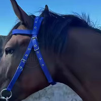 Bridons d'équitation de haute qualité à prix raisonnable en coton/néoprène, séchage rapide, confortables, vente en gros directe d'usine en stock