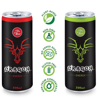 Hoge Kwaliteit-250Ml Koolzuurhoudende Sport Dragon Energy Drink Vietnam Leverancier-Drankproductie-Gratis Monster-Private Label