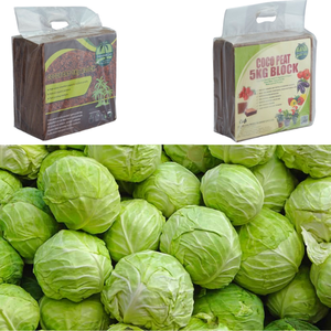 Bloques de Cocopeat naturales y orgánicos de 5kg para repollo adecuados para el cultivo de plantas Los mejores medios de cultivo para un crecimiento rápido - Product Image 3