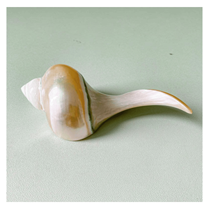 Repose-baguettes en coquillage poli, support en coquillage pour baguettes et couverts, décoration élégante pour la salle à manger, origine Vietnam - Product Image 3