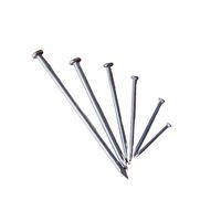Clavos de construcción: Eleve su proyecto con clavos de hierro pulidos de alta calidad, disponibles en varios tamaños a un precio inmejorable
