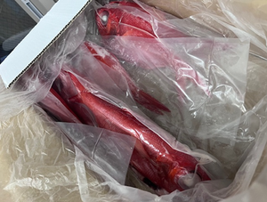 อาหารทะเลปลา - Product Image 3