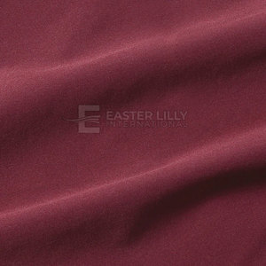 Shorts Deportivos al Por Mayor, Servicio OEM, Personalizados, Tallas Grandes, Transpirables, para Uso Casual - Product Image 4