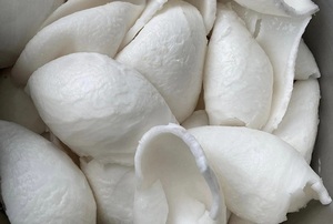 VIANDE DE NOIX DE COCO IQF JEUNE DE HAUTE QUALITÉ EMBALLAGE DE VIANDE DE NOIX DE COCO CONGELÉE DANS LE VIDE DE BLEU LOTUS VIETNAM - Product Image 4