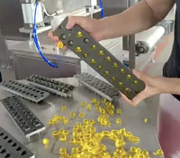 TG20 Startup Confiserie Industrie Semi-automatisée Gummy jelly hard candy bear lollipop depositor productor making machine