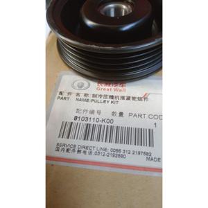 TENDEUR DE COURROIE HAVAL Série H5 (23>) 8103110-K00 Essence - Product Image 5