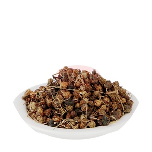 Polvo de Solanum Nigrum (Black Nightshade), Extracto Herbal de Makoy Phal, Empaquetado en Tambor - Product Image 1