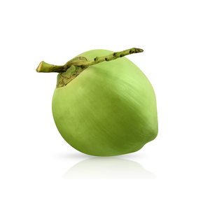 Noix de coco fraîches par pièce 250 à 300 ml Forme de diamant Forme polie Noix de coco fraîche riche en protéines Volume Vietnam - Product Image 2