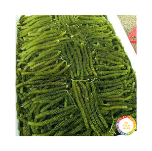 องุ่นทะเลอบแห้ง/สาหร่ายทะเลเวียดนาม/หมักในน้ำเค็มแห้งสีเขียวมอสออกแบบโลโก้ได้ตามต้องการ - Product Image 1