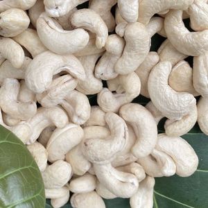 ขายเม็ดมะม่วงหิมพานต์จากเวียดนาม W320 - Product Image 1