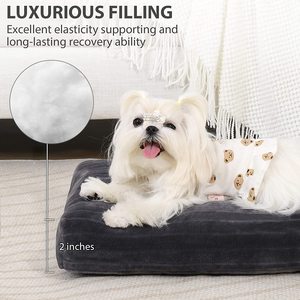 Cat Sofa <b>Bed</b> Cute and Comfortable Pet Cat House <b>Soft</b> Pet <b>Bed</b> Suitable for Small Cats and <b>Dogs</b> OEM Made in Vietnam - Product Image 2