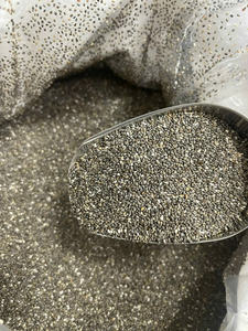 Semillas de Chía Negra Crudas Puras para Procesamiento de Alimentos, Suministro a Granel, Semillas de Chía Premium con Alto Contenido de Omega 3, Exportación Confiable desde Vietnam - Product Image 3