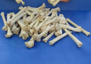 Fresh Red Deer Bones Premium Animal Extract Producto 2 años registros - Product Image 5