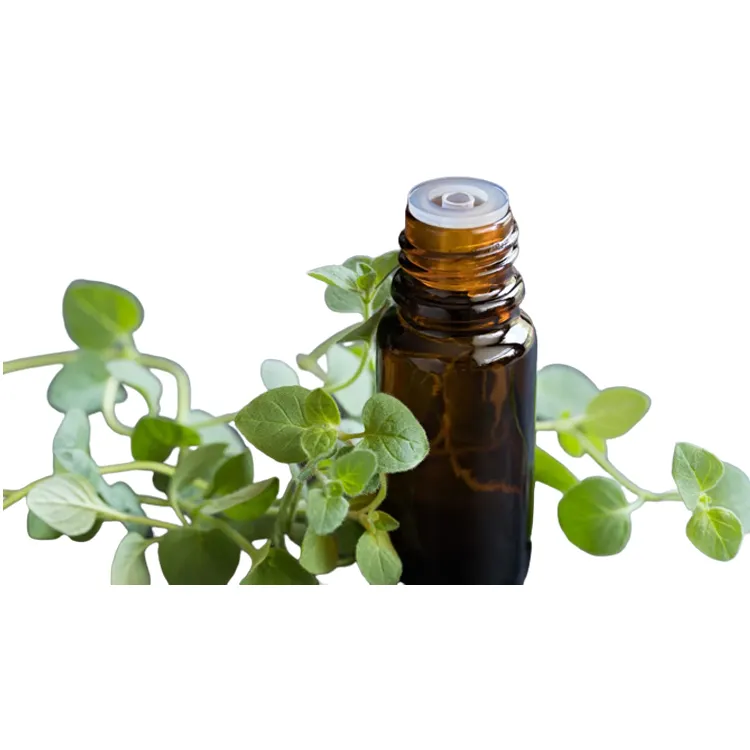 Wholesale Price Excellent Quality Widely Used 100% Pure and Organic Oregano Essential with Two Year Shelf Life