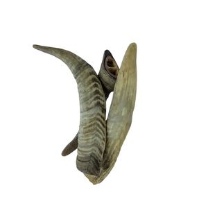 100% xác thực chất lượng cao bền vững chó nhai nước và dê sừng cho sử dụng hàng ngày cung cấp số lượng lớn từ Ấn Độ - Product Image 1