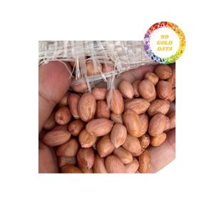 Fournisseur d'arachides séchées d'origine vietnamienne avec une texture et un arôme excellents, idéal pour les collations et les ingrédients de cuisine - Product Image 4