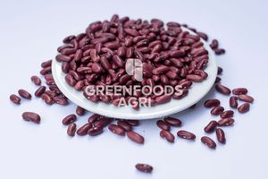 Màu đỏ sẫm thận đậu (drkb) - Product Image 4