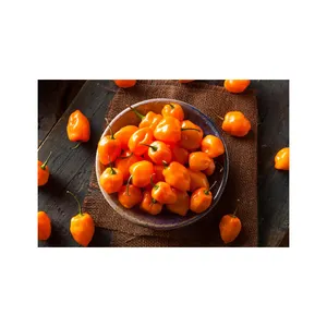 Kualitas Terbaik grosir Natural organik Habanero segar murni Capsaicin merah cabe lada