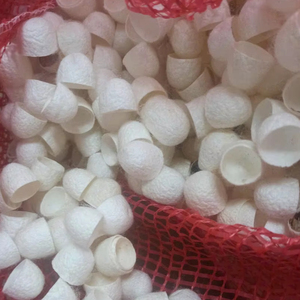 Oferta capullo de seda natural de Vietnam, calidad superior, barato, venta al por mayor, suministro directo de fábrica para compradores globales - Product Image 1