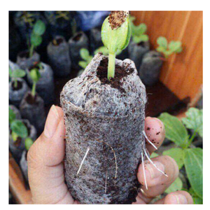 Discos de fibra de coco biodegradables para la plantación de vivero Medio de cultivo orgánico Ideal para verduras, hierbas y flores - Product Image 2