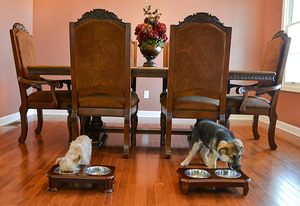 Mangeoire pour animaux de compagnie surélevée de qualité supérieure-Support de luxe en bois massif et 2 bols en acier inoxydable de qualité alimentaire-Améliore la qualité de votre animal de compagnie - Product Image 5