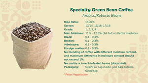 HANCOFFEE 2025 CROP Best Quality Vietnam Robusta Green Bean Coffee Commercial Price GRADE 1 Wet-polished - Free Sample - Product Image 5