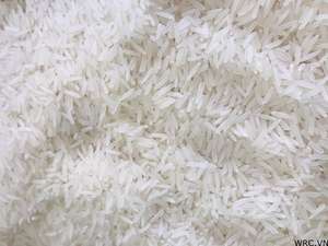 Arroz ST25 Exportado, 5% de Grano Partido, Estándar UE y EE. UU., Patrón Largo, Seco, Sunrise INS Melina - Product Image 4