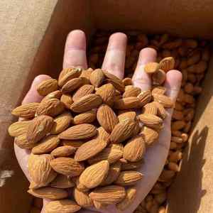 Paquete a granel de almendras crudas naturales orgánicas al por mayor tostadas y horneadas para bocadillos o uso alimenticio estilo fresco de origen francés - Product Image 4