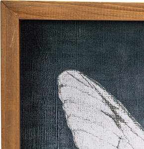 Décor à cadre en bois carré de 15.75 pouces avec papillon Art mural multicolore gris - Product Image 4