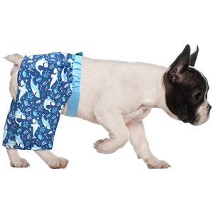 Pañales lavables, pantalones fisiológicos para perros, pantalones cortos de sublimación para perros, bragas para mascotas, ropa para perros - Product Image 3