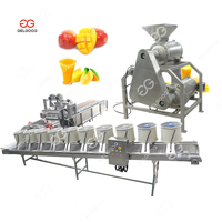 Équipement de production de jus de pulpe de mangue, machine à pulper les fruits à double pression, machine à pulper la pâte de tomate