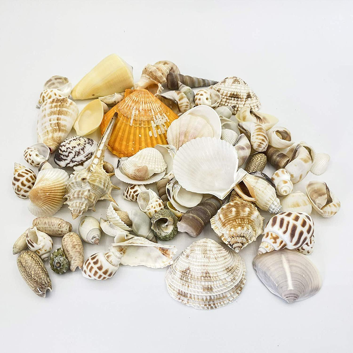 ธรรมชาติ