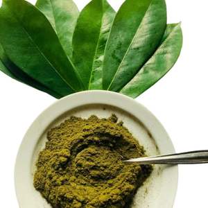 Super Deal FD Soursop Tea Healthy Organic Tea 100% Té de hierbas orgánicas con productos saludables de Vietnam sin OGM - Product Image 4