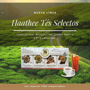 Tés Selectos Haathee |   Línea Gourmet Premium |   Chai Imperial |   6 cajas de 20 sobres cada una - Product Image 4