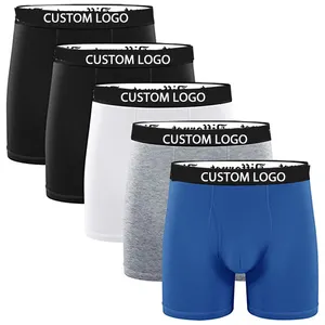 5pcs Luxury Brand Polo Mens Underwear Boxers Man Cueca Boxer Ropa Interior Hombre Vintage Gay Shorts High Quality