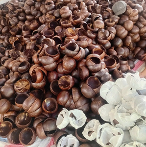 Tazón de Coco Vietnamita con Excelente Precio para el Mercado de Qatar - Product Image 2