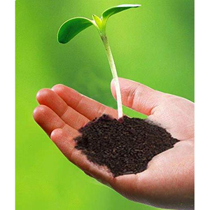 Engrais organique de vermicompost, compost de vers, 100% naturel, en provenance d'Inde - Product Image 2