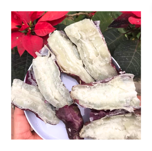 เวียดนามผลิตมันฝรั่งหวานราคาถูกที่ดีที่สุดพร้อมมันฝรั่งหวานรสชาติสมบูรณ์แบบมันฝรั่งสีม่วงคุณภาพสูง - Product Image 5