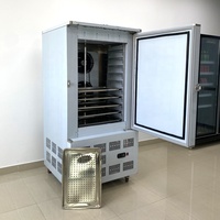 Industriële commerciële 250L 10-bakken shockvriezer/snelvriesmachine voor snel invriezen en snel koelen van voedsel, vlees en snacks