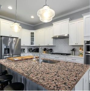 Granit rouge Chitrodi haute résistance avec rouge élevé à vendre par le fournisseur Hanumant au meilleur prix pour les revêtements de sol Chitrodi - Product Image 2