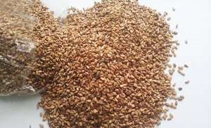 มะขามย่างเพียว - Product Image 2