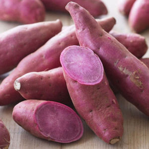 Pommes de terre fraîches de haute qualité, origine positive, vente directe - Product Image 1
