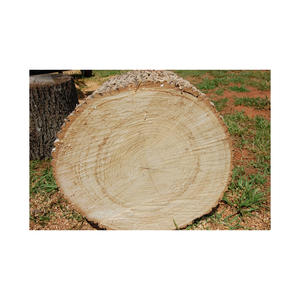 Fournisseur en gros de bois de chauffage de chêne de qualité supérieure avec livraison rapide - Product Image 2