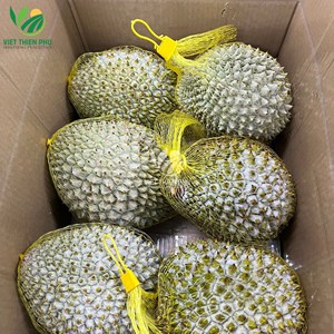 Durian à chair crémeuse jaune Monthong de qualité supérieure à l'exportation du Vietnam Fruits surgelés traités IQF avec conservation de l'eau - Product Image 6