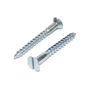 Vis autotaraudeuse en acier inoxydable à fente haute précision - Product Image 1