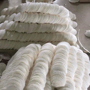 Mélange sur mesure de haute qualité coquillages décoratifs coquillages de décoration naturelle - Product Image 2