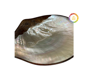 Vente en gros de nacre assiette en nacre coquillage naturel assiette en nacre polie assiette en nacre pour un repas élégant - Product Image 2